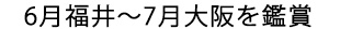 6/3（土）福井、7/1（土）広島、7/23（日）大阪公演最終日を鑑賞