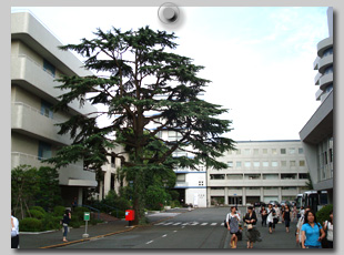 昭和女子大学校内