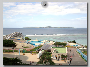 水族館前の海