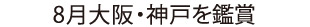 8月23日大阪＆8月31日神戸を鑑賞