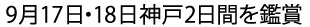 9月17日18日神戸2日間を鑑賞