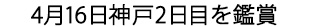 神戸2日目を鑑賞