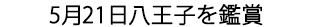 八王子を鑑賞