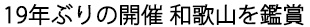 和歌山を鑑賞