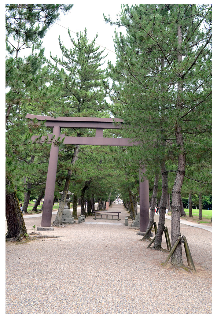 下り参道の先・松並木の参道の鳥居