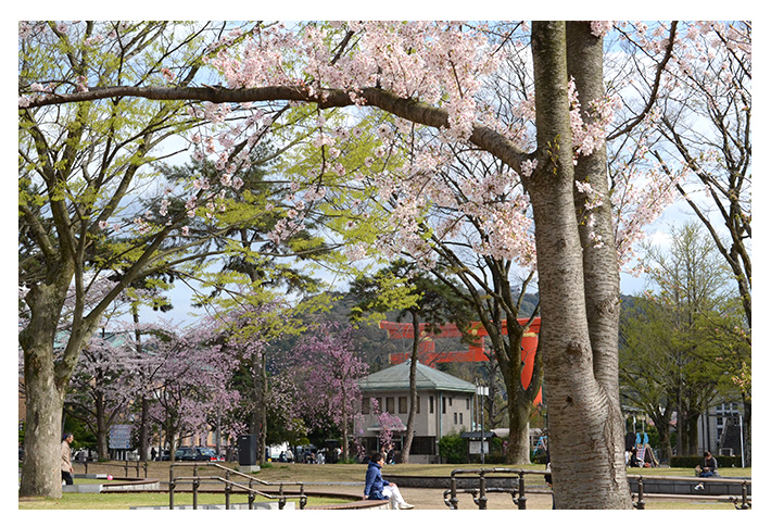 公園