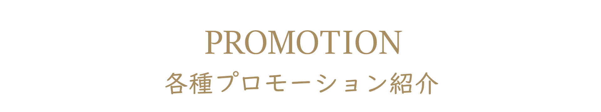 プロモーション紹介