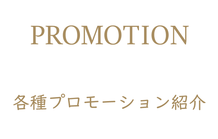 プロモーション紹介