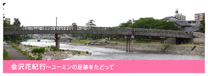 金沢花紀行〜ユーミンの足跡をたどって