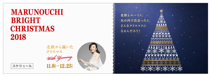 Marunouchi Bright Christmas 2018 概要・スケジュール