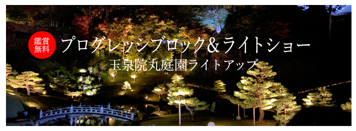 プログレッシブロック&ライトショー 玉泉院丸庭園ライトアップ