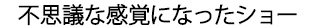 不思議な感覚になったショー