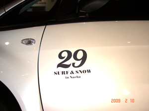 SURFSNOWdl