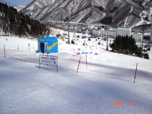 SURFSNOW@CUP@X^[gn_