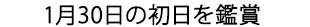 1月30日の初日を鑑賞