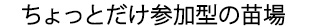 ちょっとだけ参加型