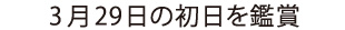 3月29日の初日を鑑賞