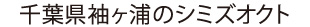 千葉県袖ヶ浦のシミズオクト