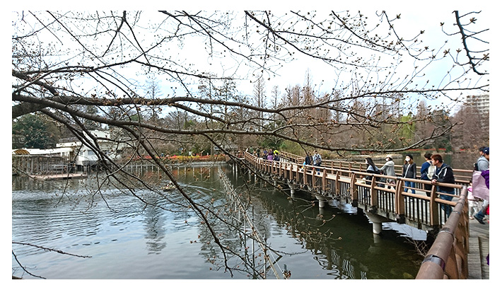 井の頭公園