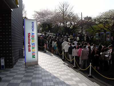 初日 ステラボール開演前