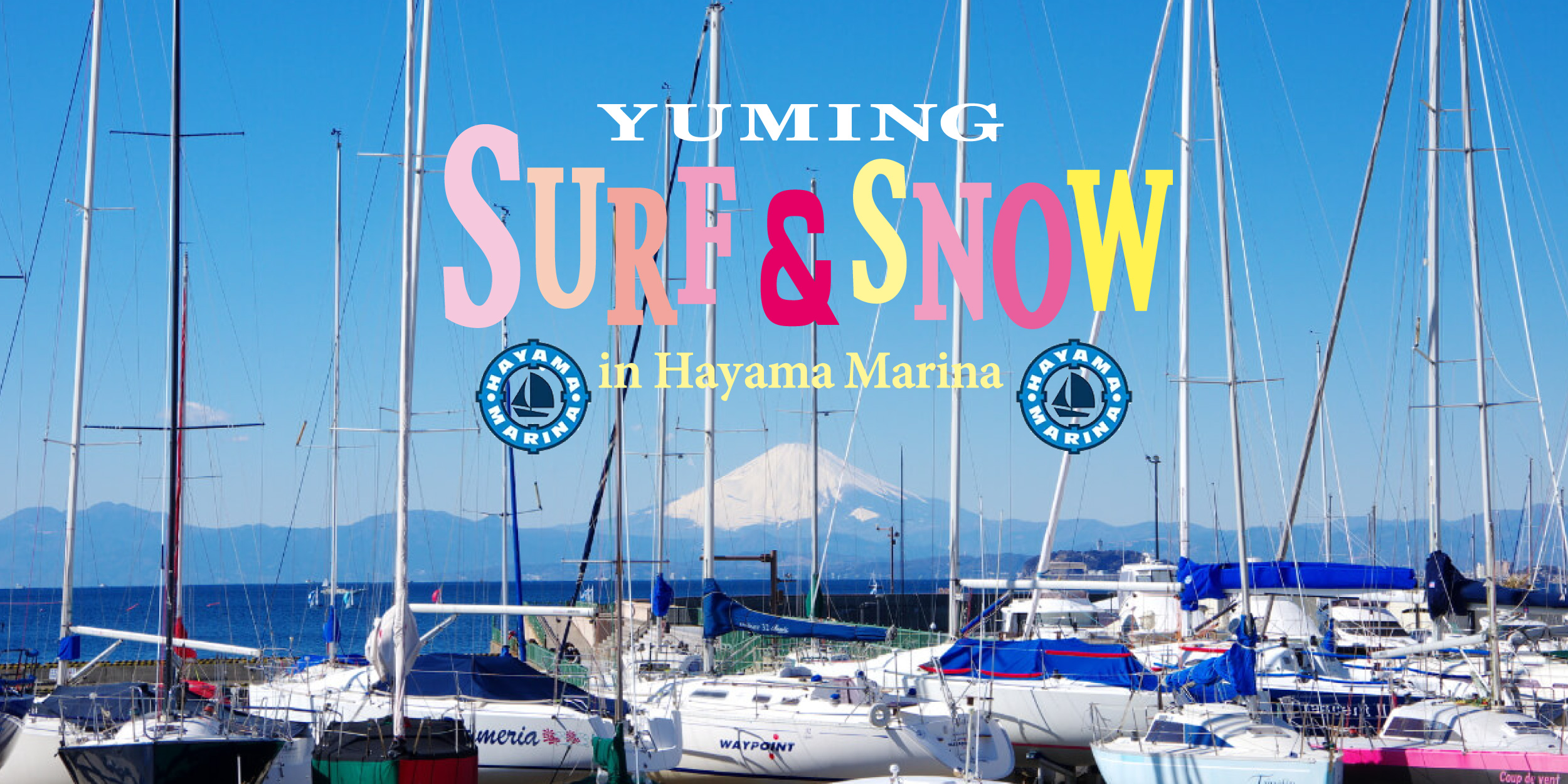 SURF&SNOW in Hayama Marina
