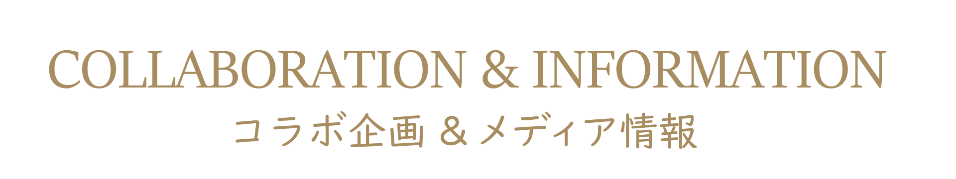 コラボ企画&最新情報
