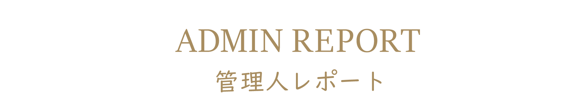 管理人レポート